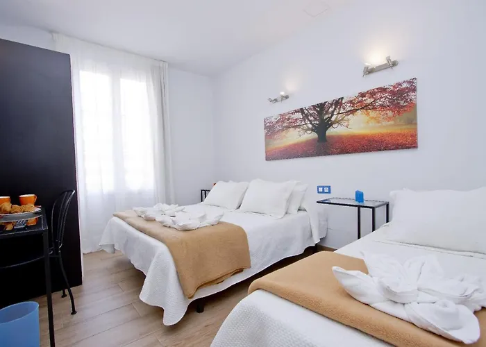 Hôtel accueillant les animaux: Barcelona City Hotel