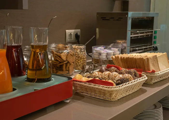 Hôtel accueillant les animaux: Hotel America Barcelona