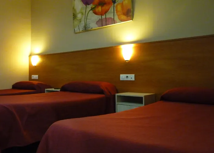 Hôtel accueillant les animaux: Hostal Drassanes