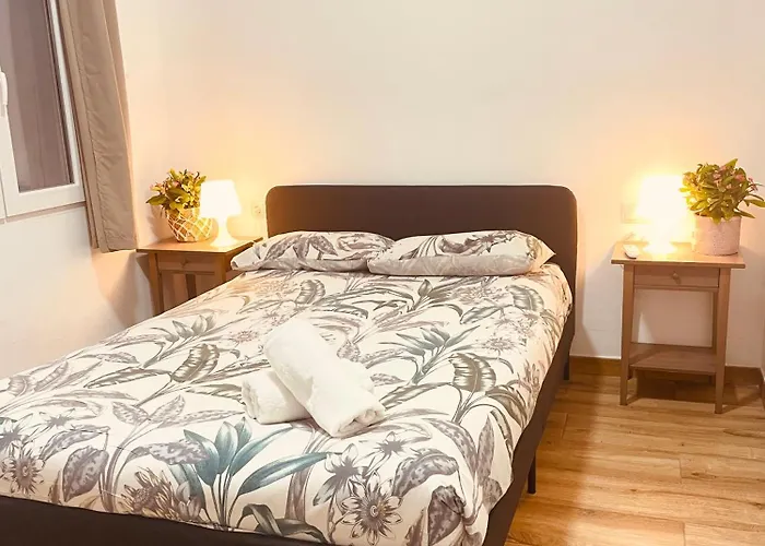 Perros hoteles Tarradellas Sants Estació